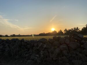 Gir national park and chambal safari