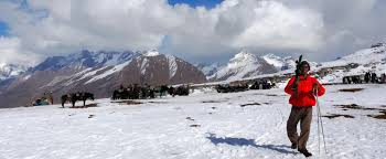 Explore the best 5 days Manali itinerary with Garhwal Himalayan Expedition. Discover snow-filled adventures, hidden gems, inclusions & exclusions for a perfect Himachal trip.